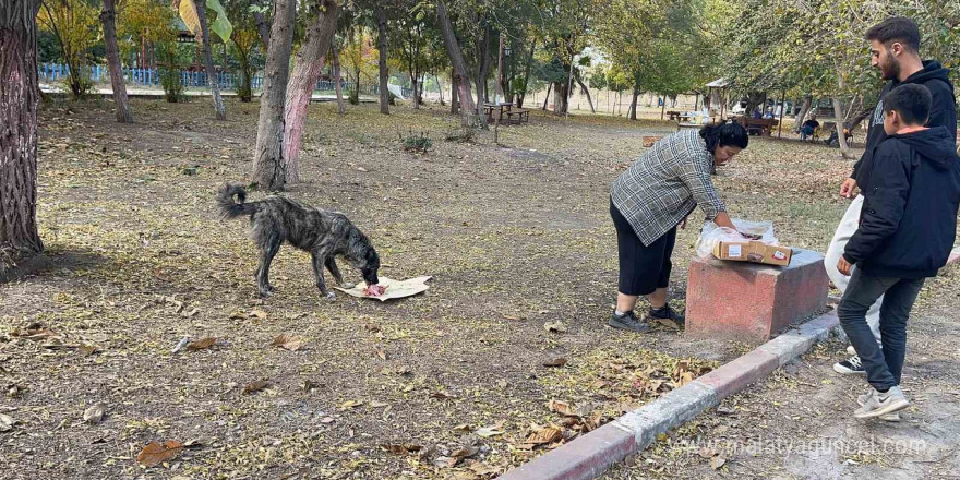 Osmaniye’de sokak hayvanları için doğaya yem bırakıldı