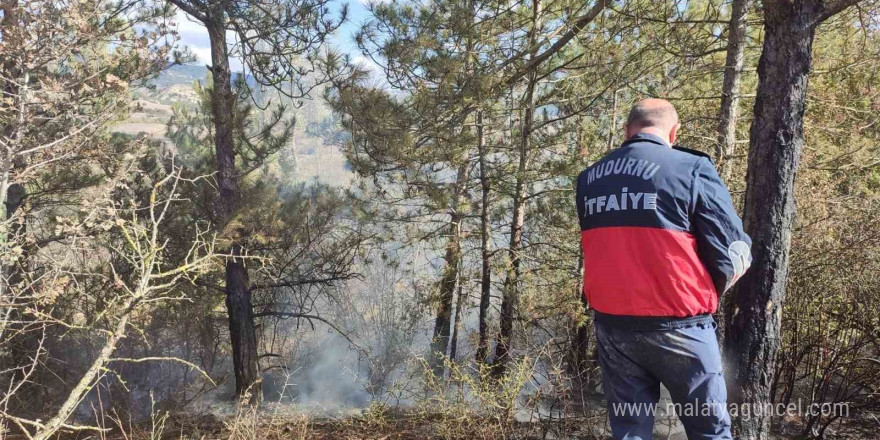 Ot yangını ormana sıçramadan söndürüldü