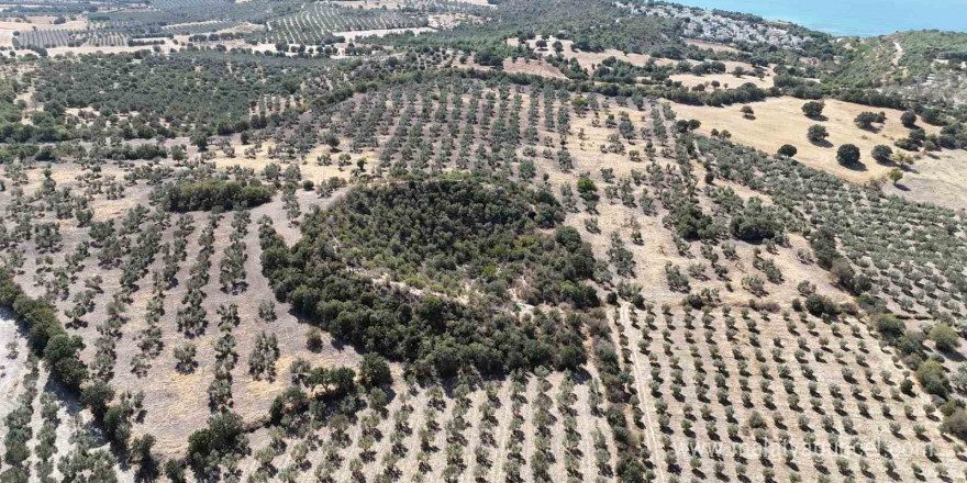 (Özel) 2 bin 400 yıllık tiyatro