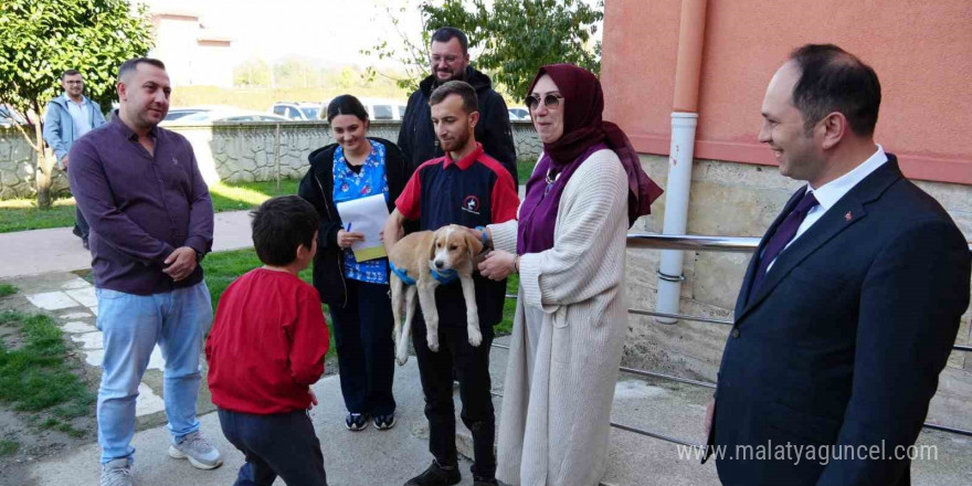 Özel eğitim okuluna can dost yavru köpek