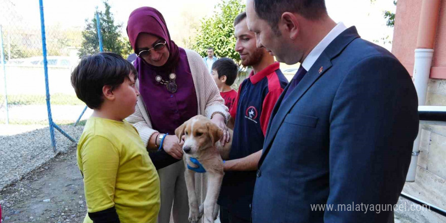 Özel eğitim okuluna can dost yavru köpek