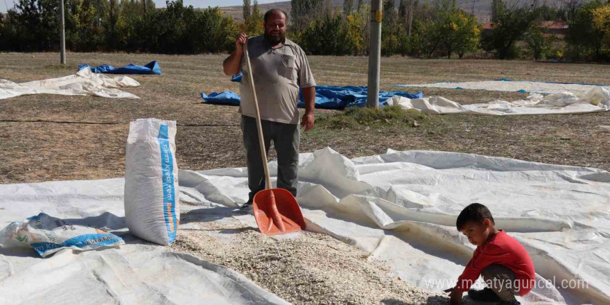 (ÖZEL) Tüccarın fırsatçılığı çiftçiyi mağdur ediyor