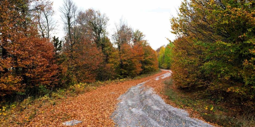 (Özel) Ulus Dağı sonbaharın renklerine büründü