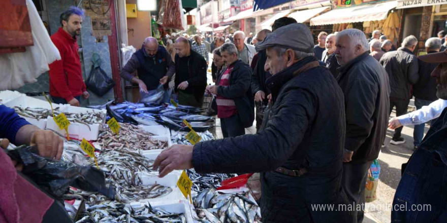 Palamut bereketine balıkçılar bile şaşkın: 