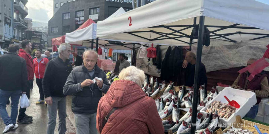 Palamut fiyatı düştü, vatandaş ilgi gösterdi