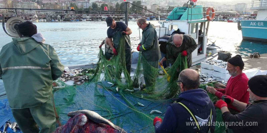 Palamut, hamsi, istavrit ve mezgitin ardından bu kez de kefal bereketi yaşanıyor