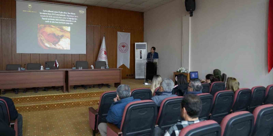 Pamukta Pembekurt zararlısına karşı bilgilendirme