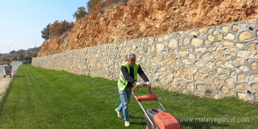 Peyzaj çalışmaları devam ediyor