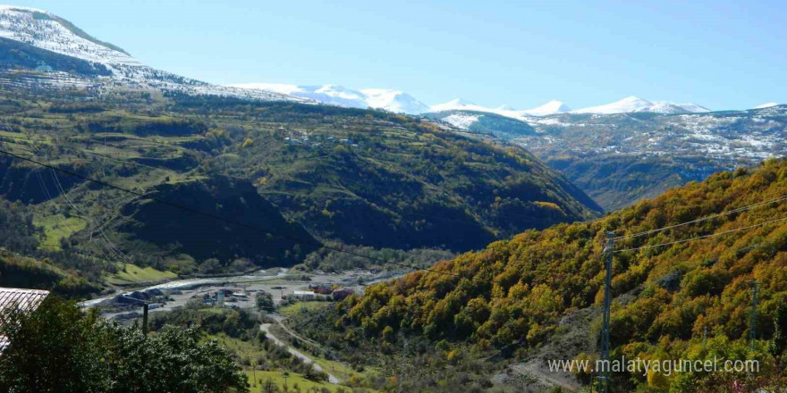 Posof’ta yeşil ile beyazın buluşması görsel şölen oluşturuyor