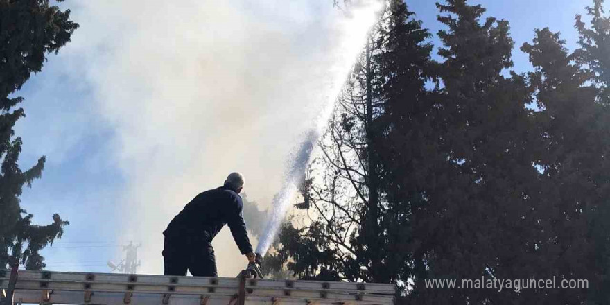 Reyhanlı’da çamlık alanda yangın çıktı