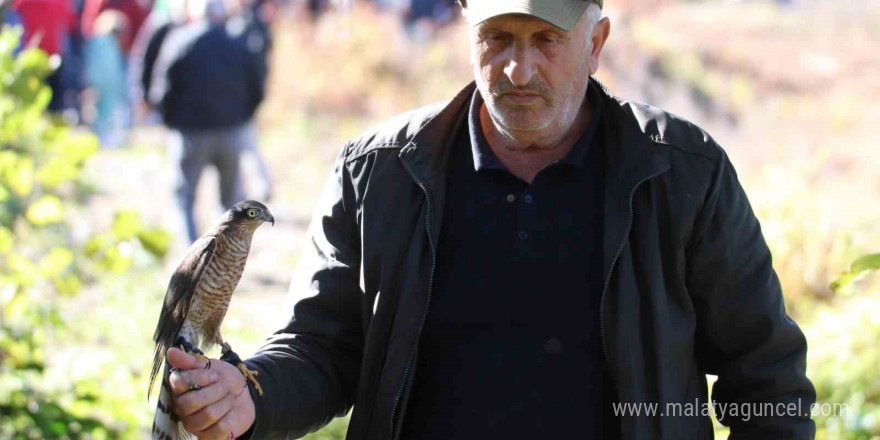 Rize’de atmacalar bu kez bıldırcın avında yarıştı