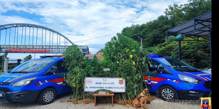 Rize’de jandarmanın 4 aylık uyuşturucu bilançosu: 210 gözaltı