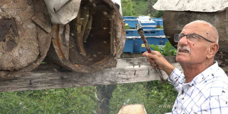 Rize’de karakovan balının hasadı tamamlandı, fiyatı belirlendi