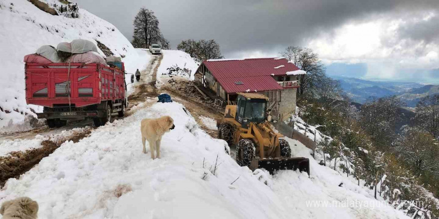 Rize’de yaylada küçükbaş ve büyükbaş hayvanları ile mahsur kalan 6 kişi kurtarıldı