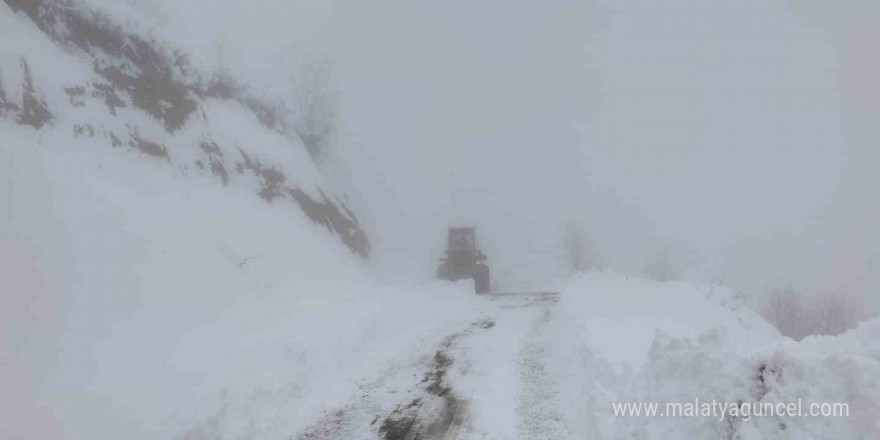 Rize’de yaylada küçükbaş ve büyükbaş hayvanları ile mahsur kalan 6 kişi kurtarıldı