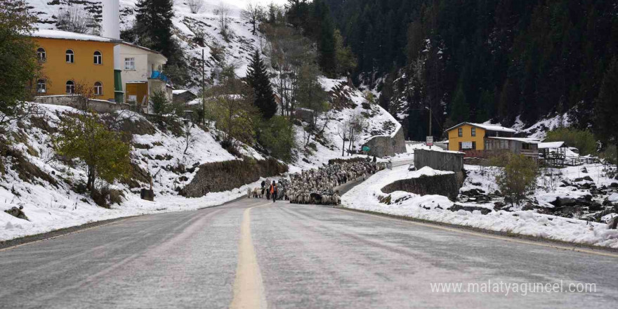 Rize’nin karlı yaylalarından kartpostallık görüntüler