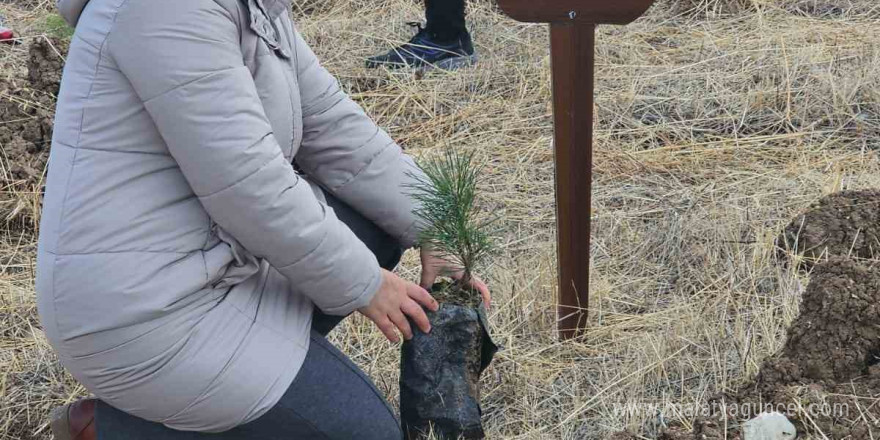 Sadife öğretmen Eskişehir adına başkentte fidan dikti