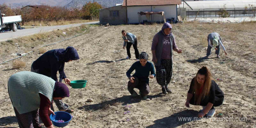 Safran deneme üretimi başarıya ulaştı