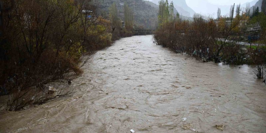 Sağanak yağış çayları taşırdı