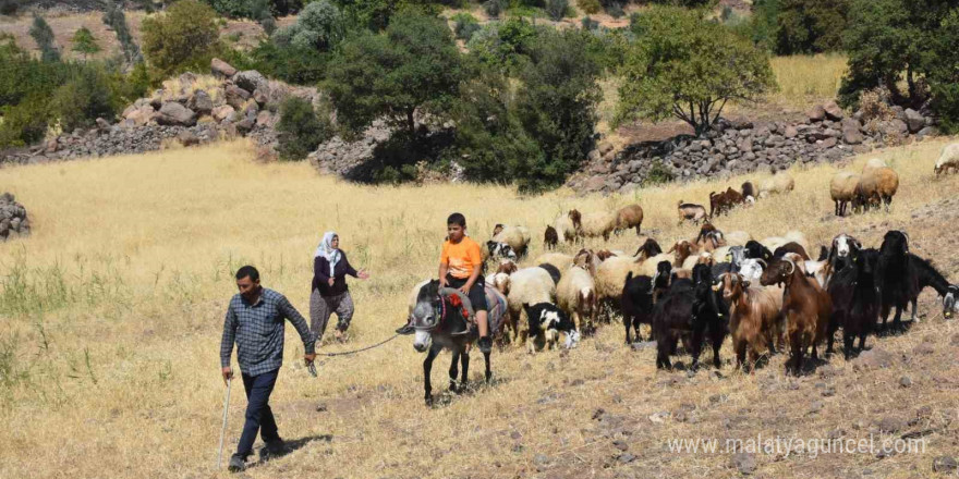 Şahinbey Belediyesi’nin destekleri ile hayvan yetiştiriciliği arttı