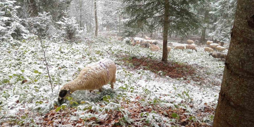 Sakarya’da yılın ilk karı yüksek kesimleri beyaza bürüdü