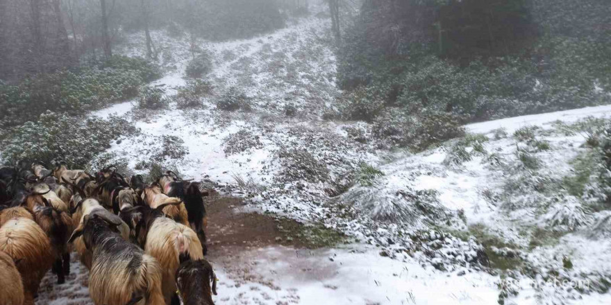 Sakarya’nın yüksek kesimlerinde kar yağışı