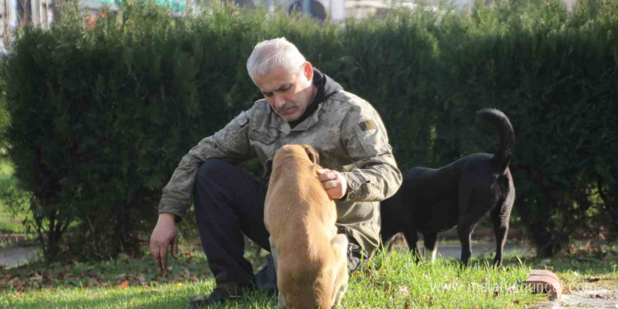 Sakat kalan köpeğini yürüteç ile hayata bağladı