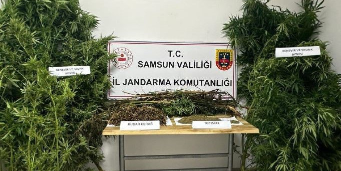 Samsun’da 1 ayda 2 bin 119 araç ve sürücüsüne 5,5 milyon TL cezai işlem uygulandı