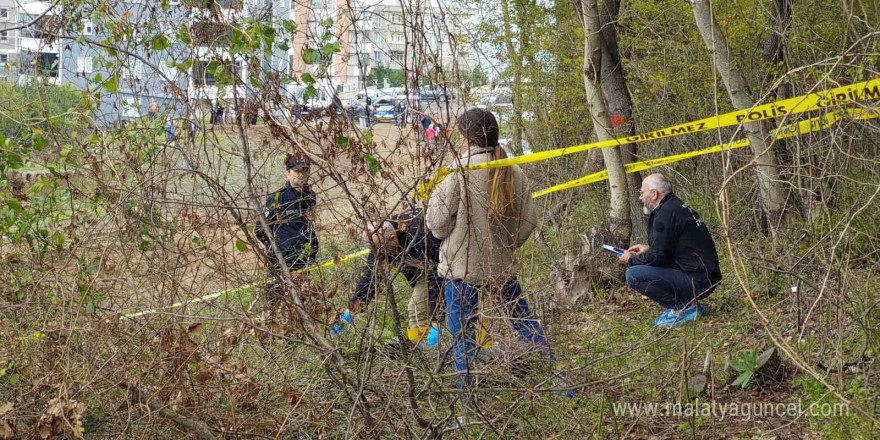 Samsun’da 5 gündür kayıp kadın ormanda ölü bulundu