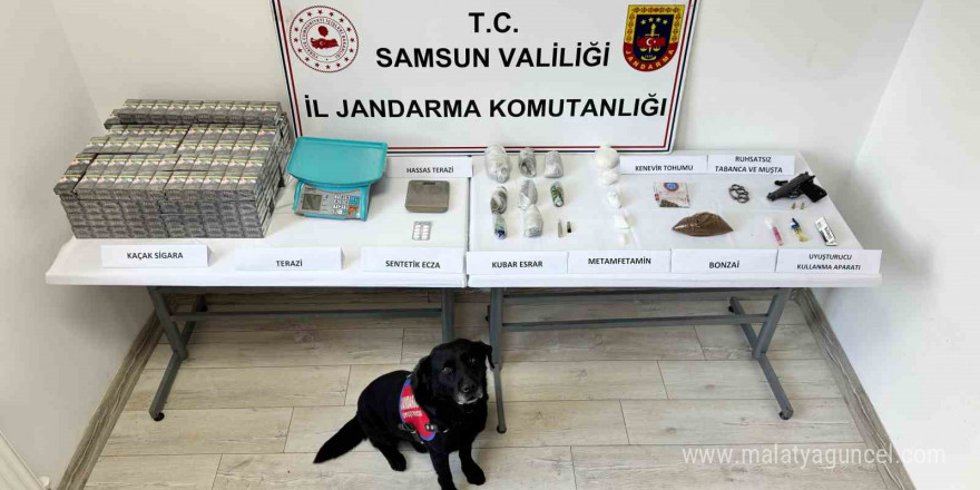 Samsun’da jandarma ekipleri çok sayıda uyuşturucu madde ele geçirdi