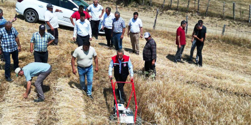 Samsun’da organik buğday hasadı ve hasat makinesi dağıtımı