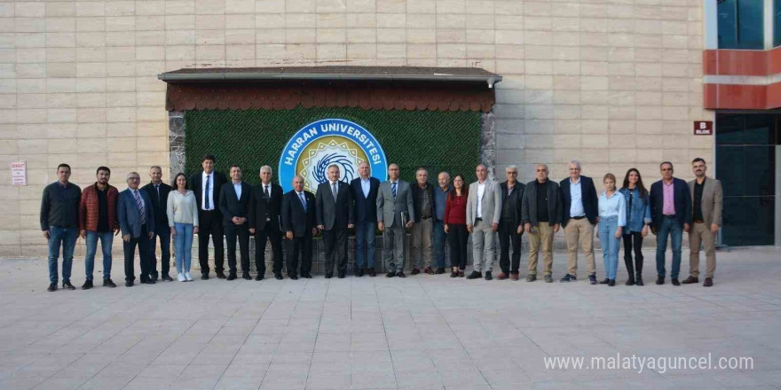 Şanlıurfa’da doğal renkli pamuğun hasadı başladı