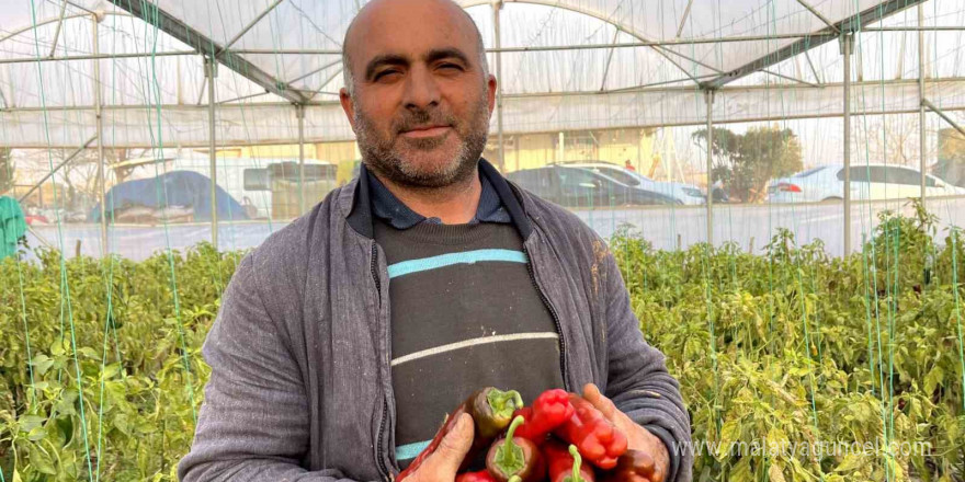 Şanlıurfa’da seracılık ile çiftçinin yüzü gülüyor