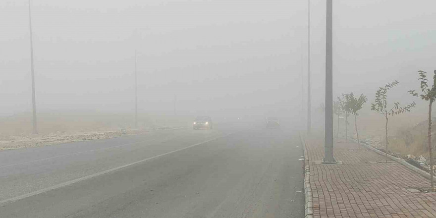 Şanlıurfa’da yoğun sis etkili oluyor