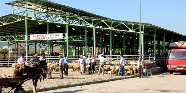 Sarıgöl Canlı Hayvan Pazarı ikinci bir emre kadar kapatıldı