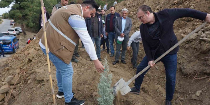 Sarıgöl’de fidanlar yanan ormanlık alana dikildi