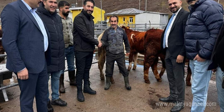 Sarıkamış Belediye Başkanı Serdar Kılıç, Hayvan Pazarında incelemelerde bulundu