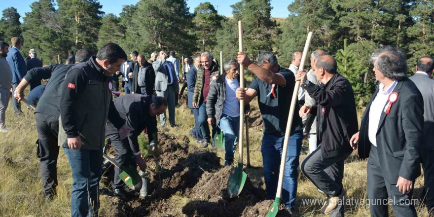 Sarıkamış Şehitleri adına fidanlar toprakla buluştu