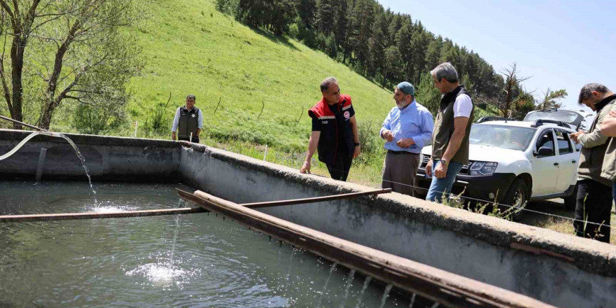 Sarıkamış’ta bir kişi alabalık yetiştiriciliği yapıyor