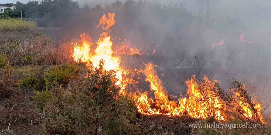 Sazlık alandaki yangına hortum ve bidonlarla müdahale ettiler