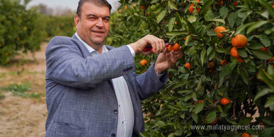 Seferihisar’da Mandalina Şenliği heyacanı