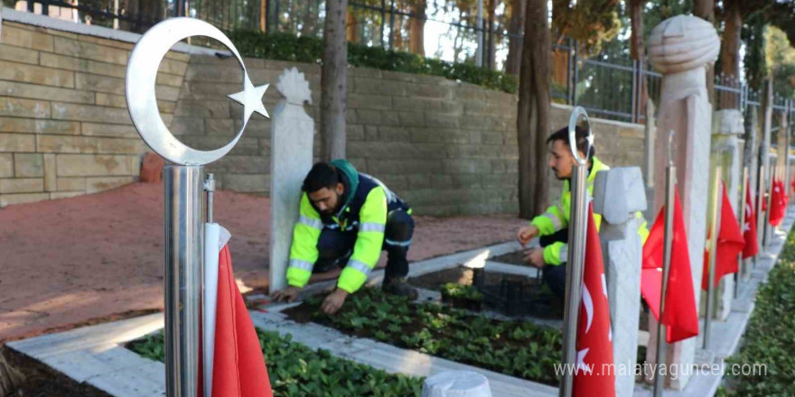 Şehit mezarları çiçeklerle donatıldı