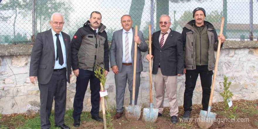 Şehit öğretmenler anısına fidan dikildi