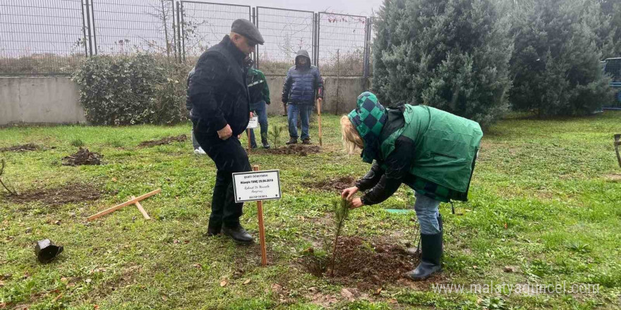 Şehit öğretmenler için stadyum çevresine ağaç diktiler