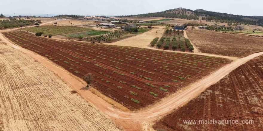 Şehitkamil’den kırsal mahallelerde yol atağı