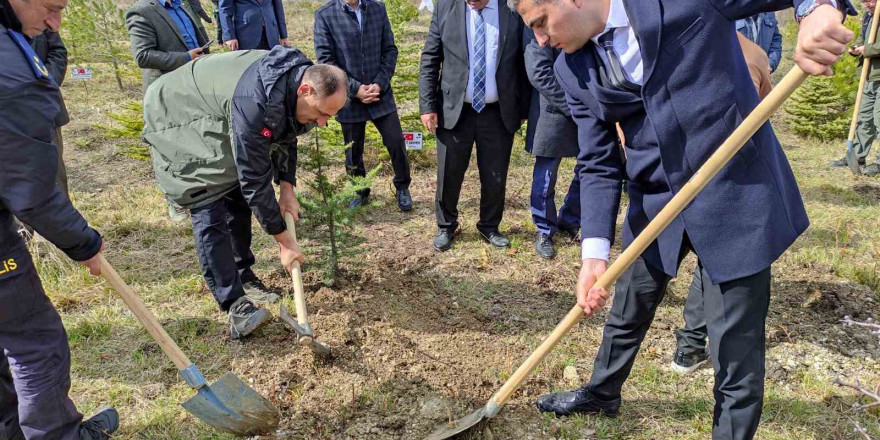 Şehitler için fidan dikildi