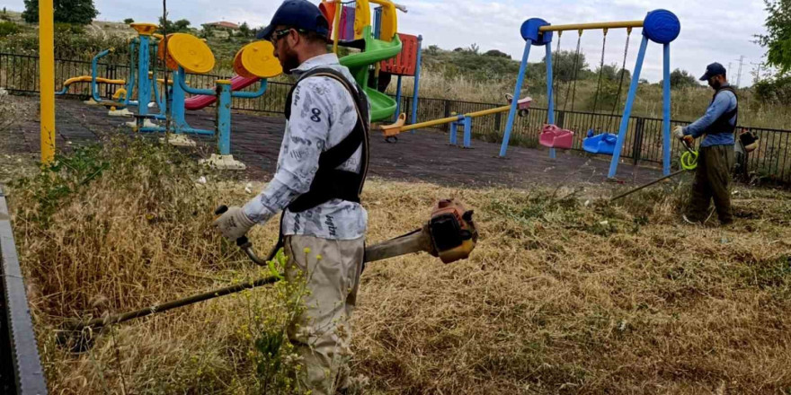 Şehzadeler Belediyesinde ilaçlandırma seferberliği