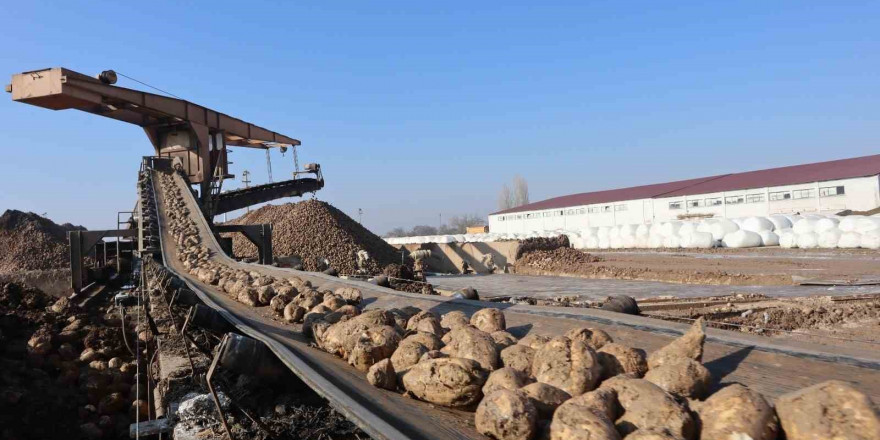 Şeker Fabrikası'ndan Yayılan Küspe Kokusu Yetkililerin Umrunda Değil!