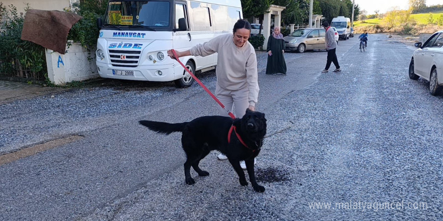 Sel sularının arasında kalan köpeği düzenledikleri operasyonla kurtardılar