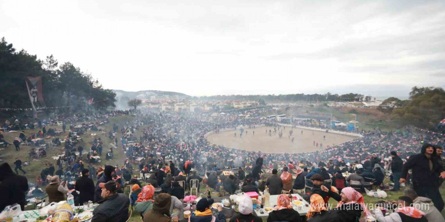 Selçuk’ta Deve Güreşleri Festivali heyecanı başlıyor